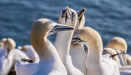 【紧急】17c盘点:热点事件5大爆点,业内人士上榜理由罕见令人窒息