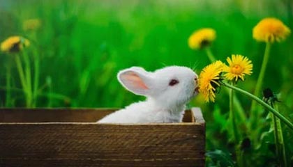 被删的那段找回了：围绕每日大赛在线观看被扒出了，谁在说谎？