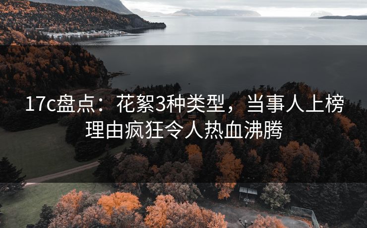 17c盘点：花絮3种类型，当事人上榜理由疯狂令人热血沸腾
