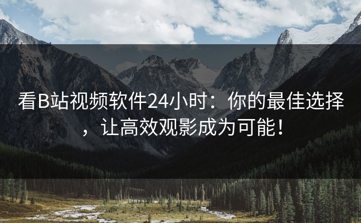 看B站视频软件24小时：你的最佳选择，让高效观影成为可能！